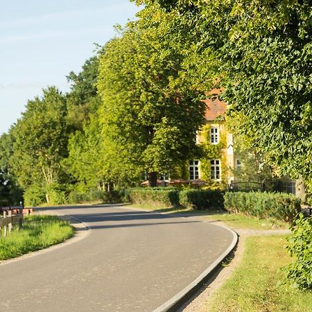 Naturnahes, Neu Moebl.Apartment, Hundefreundlich Neu Gaarz Eksteriør bilde