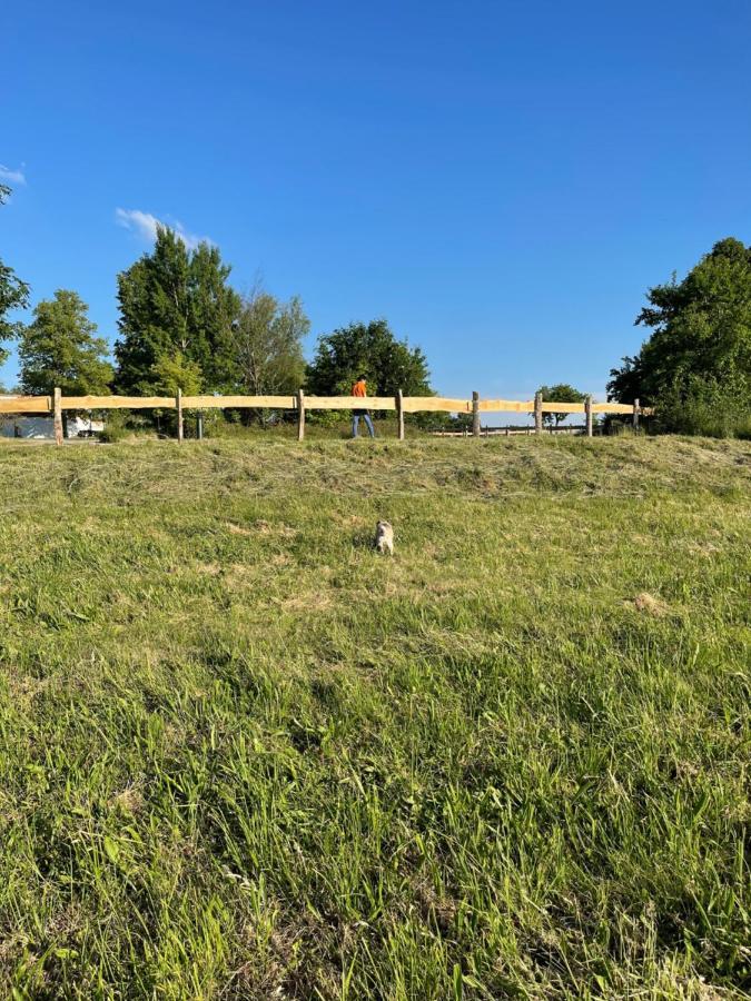 Naturnahes, Neu Moebl.Apartment, Hundefreundlich Neu Gaarz Eksteriør bilde