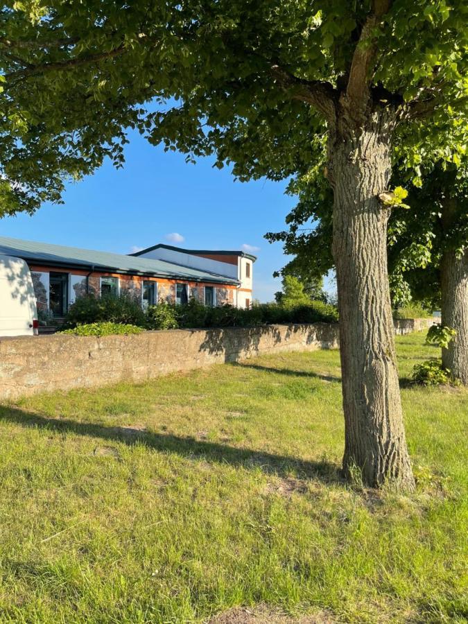 Naturnahes, Neu Moebl.Apartment, Hundefreundlich Neu Gaarz Eksteriør bilde